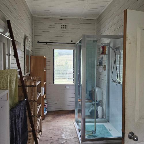 a bathroom with a glass shower in a room at FarmStay Pepperina & Bird Sanctuary in Bendemeer