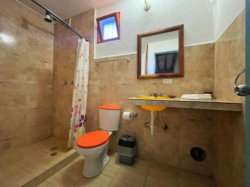 a bathroom with a toilet and a sink and a mirror at Posada Luisa Del Valle Guacuco in Playa Guacuco
