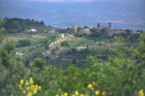 a village on top of a hill with trees at Umbria nel cuore in Cannara