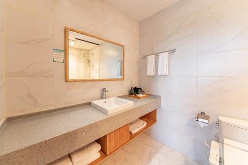 a bathroom with a sink and a mirror at Anji Bamboo Homestay in Tangkou