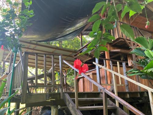 a tree house with stairs leading up to it at Villa ibiscus in Bastimentos