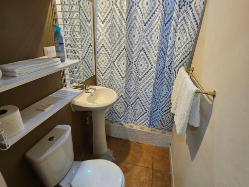 a small bathroom with a toilet and a sink at Palmerola Inn in Villa de San Antonio