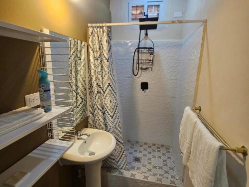 a bathroom with a shower with a sink and a toilet at Palmerola Inn in Villa de San Antonio