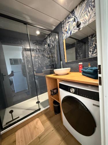 La petite salle de bains est pourvue d'une douche et d'un four micro-ondes. dans l'établissement studio calais côte d'opale, à Calais