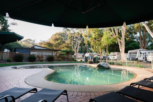 a small swimming pool with chairs and an umbrella at BIG4 Yarra Valley Park Lane Holiday Park in Healesville