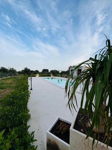 a swimming pool with a potted plant next to it at Come a casa in Solarino
