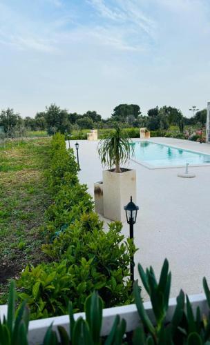 a swimming pool with a potted plant in a yard at Come a casa in Solarino