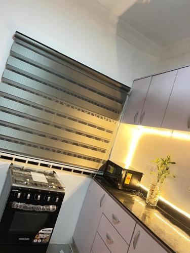 a kitchen with a counter top with a plant on it at Ayaa Grace in Accra