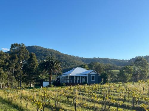 a blue house in the middle of a field at Pokolbin Farm Stay in Pokolbin
