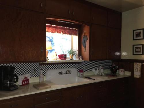 Sagle的住宿－Sleep's Cabins，带水槽的厨房台面和窗户