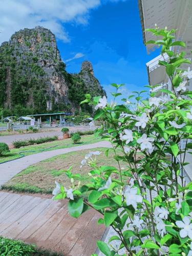 a bush with white flowers in front of a mountain at รักเขาแอนด์บ้านมุง in Ban Mung
