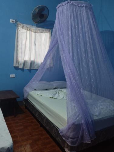 a bed with a mosquito net over it in a room at Casa El Buen Descanso in Moyogalpa