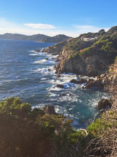 Photo de la galerie de l'établissement Clos Helene, à Hyères