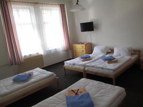 a room with two beds and a tv in it at Penzion Pancéř in Vejprty