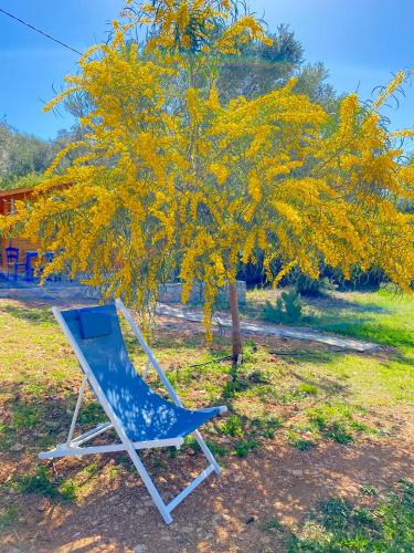 Κήπος έξω από το Eudaimonia Wooden Suites Nafplio Kandia
