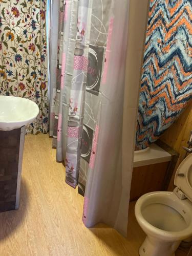 a bathroom with a toilet and a shower curtain at Highland Queen Houseboat in Srinagar