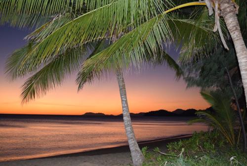 a couple of palm trees on the beach at sunset at South Pacific Bed & Breakfast in Clifton Beach
