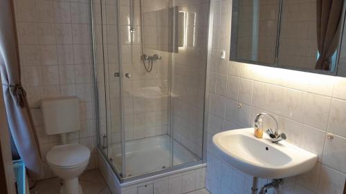 a bathroom with a shower and a sink and a toilet at Ferienwohnungen Beetzseeheide in Butzow