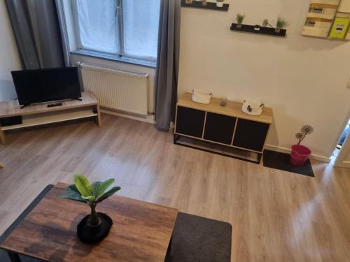 TV a/nebo společenská místnost v ubytování Appart'hotel SOLESMES