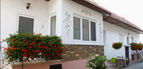 Appartementhaus Ludwig