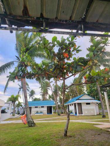 Zahrada ubytování Hermanos Leisure Farm & Resort