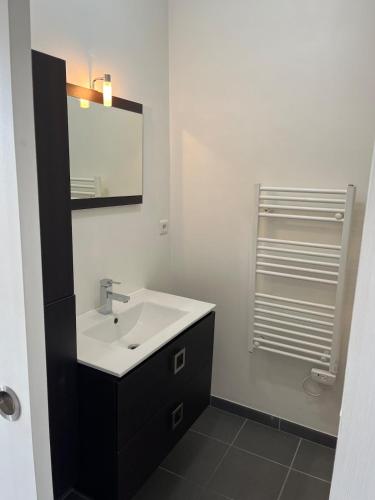 une salle de bain avec un lavabo et un miroir dans l'établissement Le Contemporain, à Rochefort