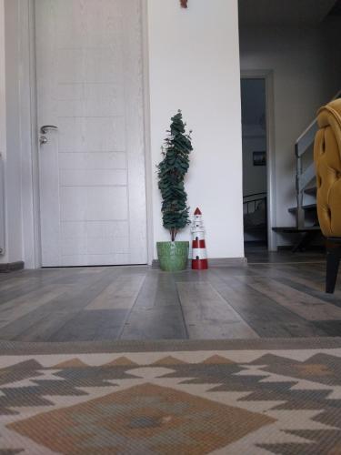 a potted tree in a room with a door at Olive garden house in Petrovaradin