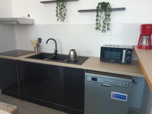 Kuchyň nebo kuchyňský kout v ubytování Appart'hotel SOLESMES