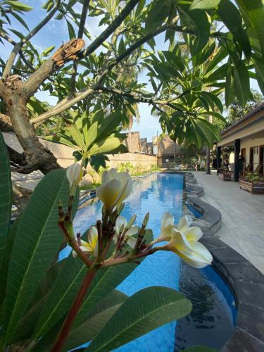 einen Pool mit weißen Blumen neben einem Gebäude in der Unterkunft Sama Sama Bungalows in Gili Trawangan