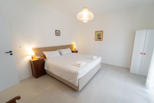 Postel nebo postele na pokoji v ubytování Casa Pitara - apartment in vila