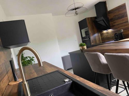 une cuisine avec un évier et un plan de travail dans l'établissement Charmante maison de famille avec jardin, à Solférino