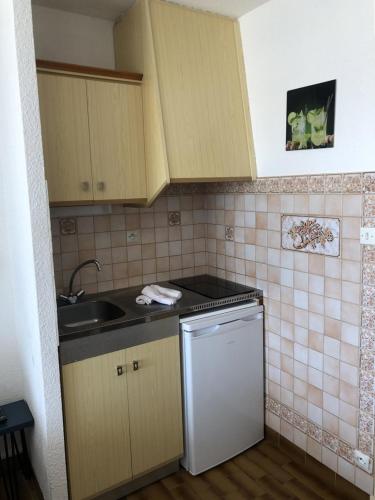 Il comprend une petite cuisine équipée d'un évier et d'un lave-vaisselle. dans l'établissement Studio Héliopolis F 74- 2 personnes, au Cap d'Agde
