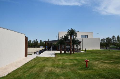 En have udenfor Black Sea Horses