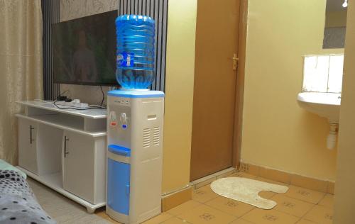 a bathroom with a water bottle on top of a machine at Lavender Cute Homes in Thika
