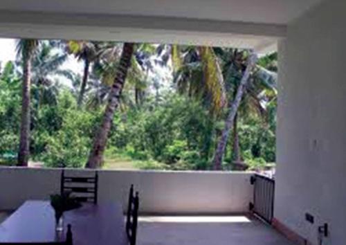 a room with a large window with palm trees at Cinnamon Edge in Mihiripenne