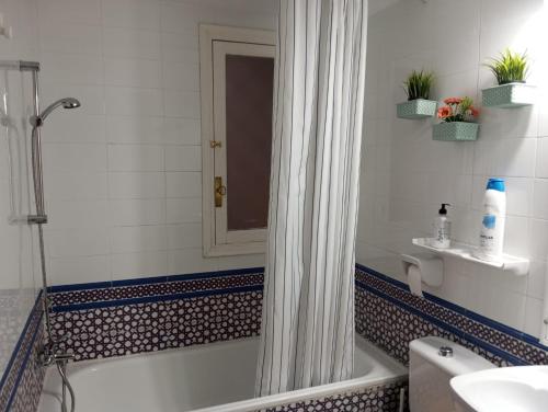 Comfortable and Cozy apartment in the center of Seville