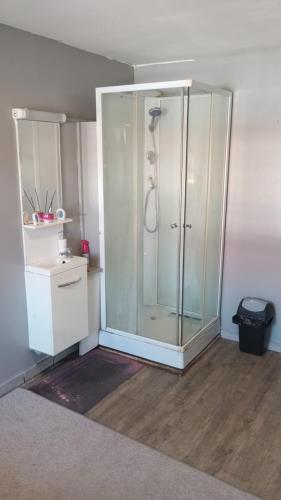 une salle de bain avec une douche en verre et un lavabo dans l'établissement Chambre Green, à Dunkerque