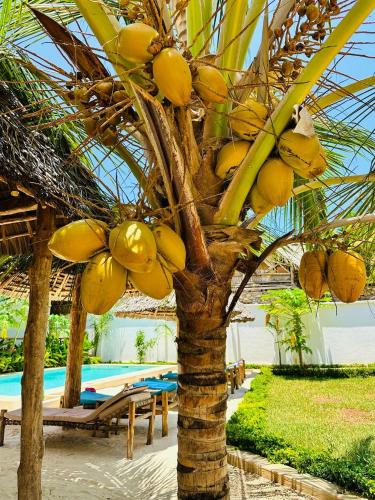 a palm tree with bananas on it next to a pool at Lala salama Kendwa villas in Kendwa