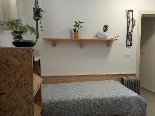 a room with a bed and a shelf with potted plants at אשראם בכרמל - המקום של אורי in Dāliyat el Karmil
