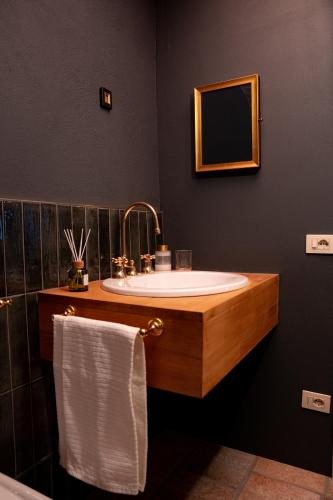 a bathroom with a sink and a mirror at Villa Bruno Selvago in Lessona in Lessona