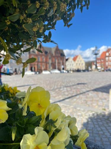 Фотография из галереи Ferienwohnungen Glückstadt в городе Глюкштадт