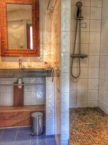 une salle de bain avec une douche, un lavabo et un miroir dans l'établissement Le Panorama, à Argelès-sur-Mer