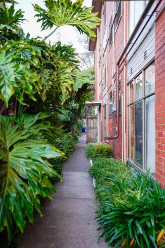 a narrow alley between two buildings with green plants at ShelleyStayz on Grey St in Melbourne
