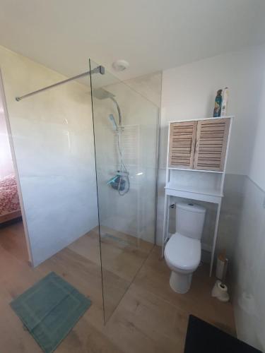 une salle de bain avec toilettes et douche en verre dans l'établissement Abeille, à Aydoilles