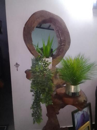 a mirror on a wall with plants on it at D Villa 1 in Katunayaka