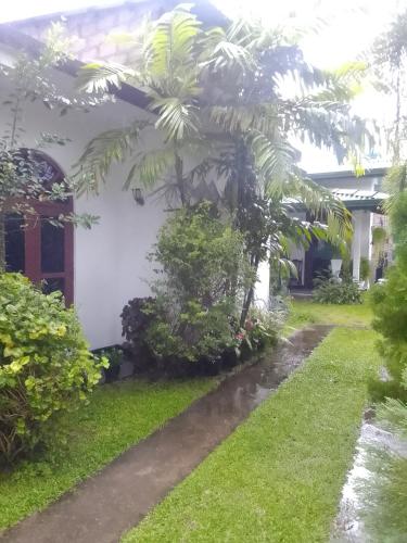 a house with a palm tree in the yard at D Villa 1 in Katunayaka