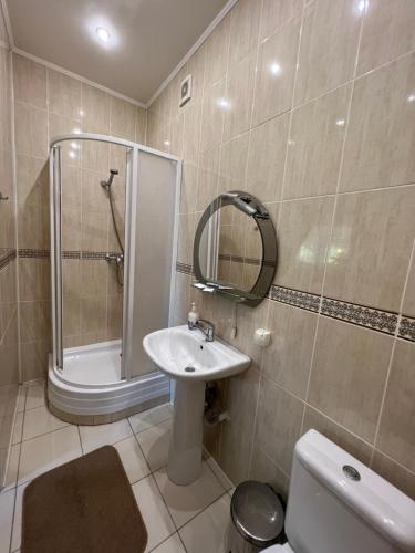 a bathroom with a sink and a shower and a toilet at Sava Dream in Zhytomyr