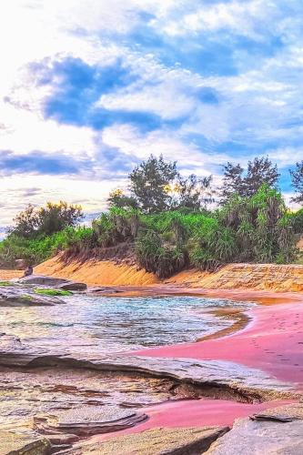 a beach with red sand and bushes and trees at Garnet Yala Beach in Kirinda