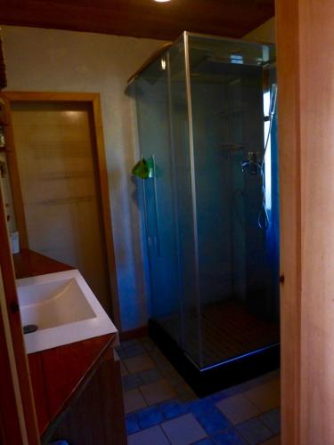 une salle de bain avec douche et lavabo dans l'établissement Studio de pleine nature idéal pour se ressourcer en solo, à Chenaillers-Mascheix