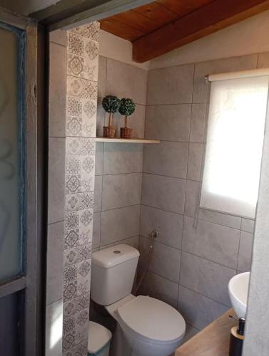 a small bathroom with a toilet and a window at Stirida Stone House in Stírion